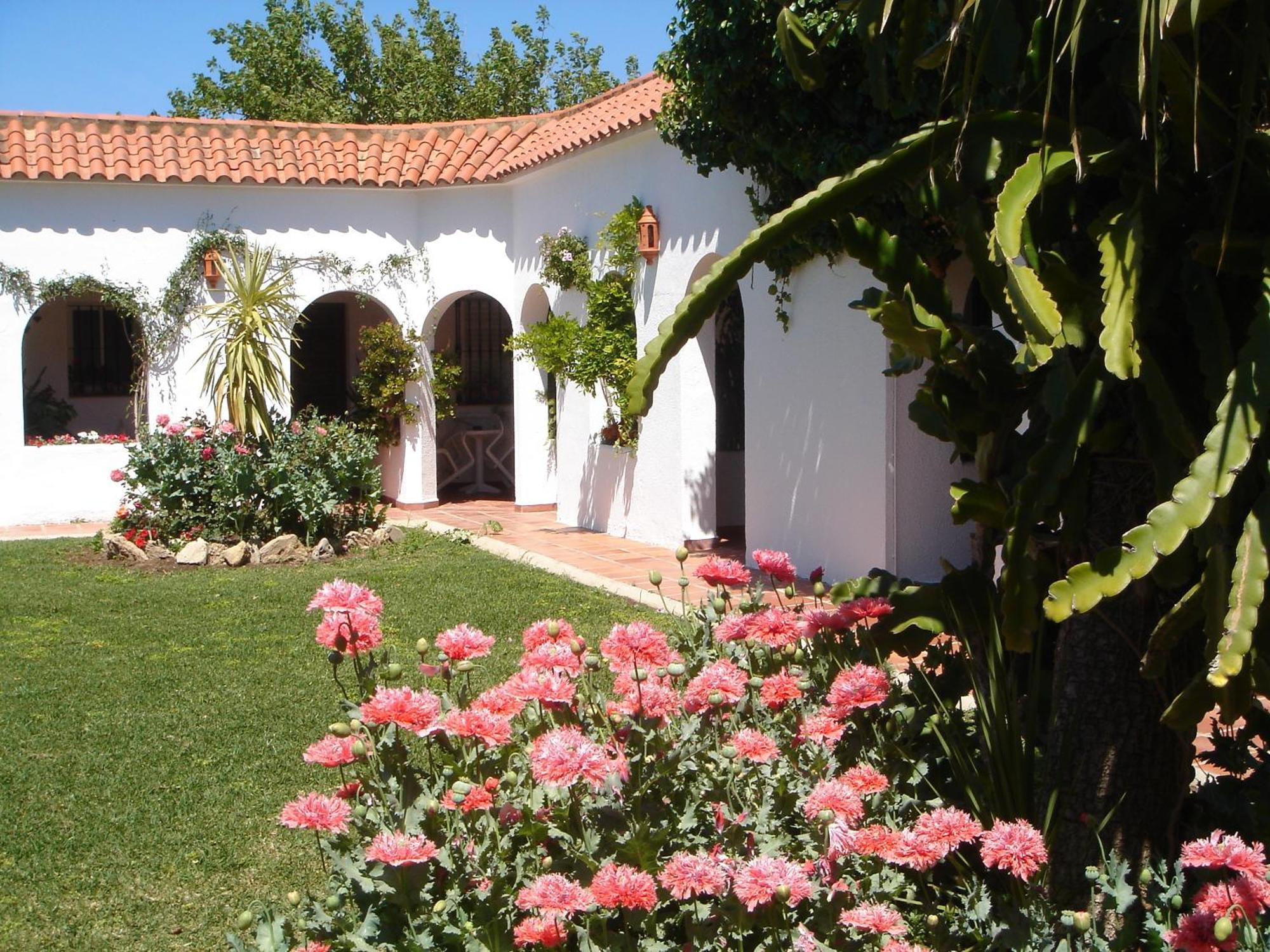 Hostal El Capi Zahora Extérieur photo